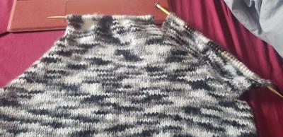 knitting dog hoodie coat