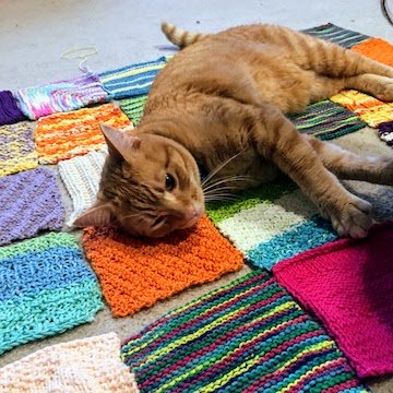 a cat laying on knitted squares